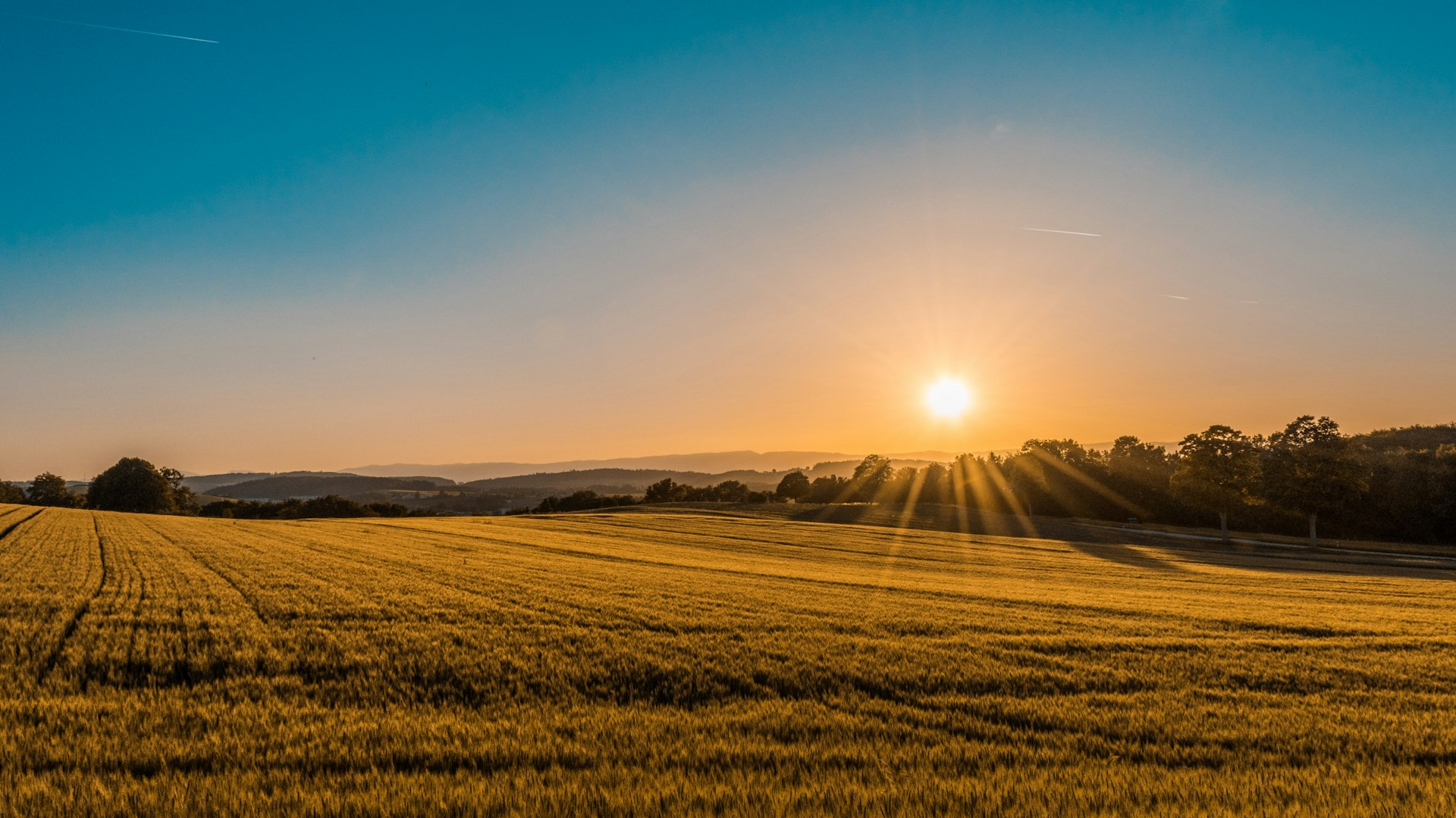 Sunlight over a cultivated field